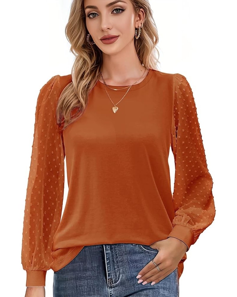 Womens Mesh Long Sleeve Shirts Dressy Casual Blouses Tops Swiss Dot Balloon Tunic Trendy Crew Neck Clothes Outfits Caramel $1...