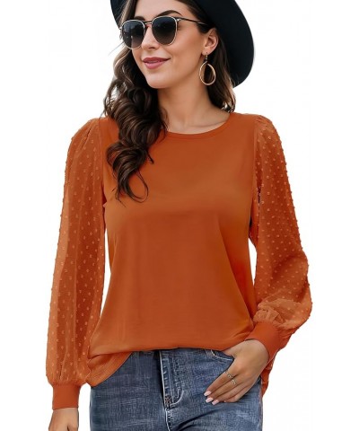 Womens Mesh Long Sleeve Shirts Dressy Casual Blouses Tops Swiss Dot Balloon Tunic Trendy Crew Neck Clothes Outfits Caramel $1...