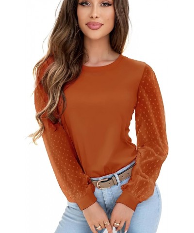 Womens Mesh Long Sleeve Shirts Dressy Casual Blouses Tops Swiss Dot Balloon Tunic Trendy Crew Neck Clothes Outfits Caramel $1...