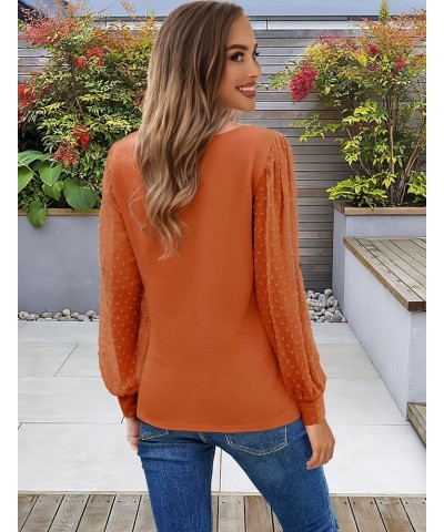 Womens Mesh Long Sleeve Shirts Dressy Casual Blouses Tops Swiss Dot Balloon Tunic Trendy Crew Neck Clothes Outfits Caramel $1...