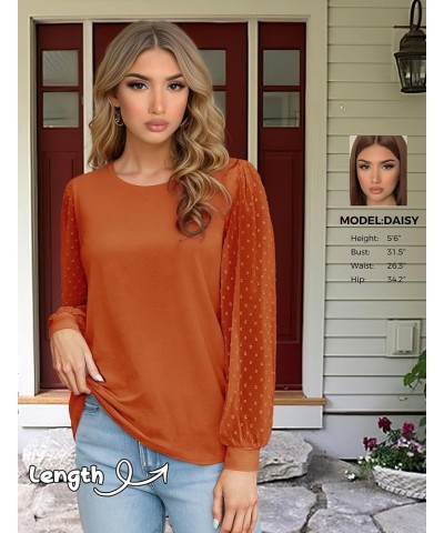 Womens Mesh Long Sleeve Shirts Dressy Casual Blouses Tops Swiss Dot Balloon Tunic Trendy Crew Neck Clothes Outfits Caramel $1...