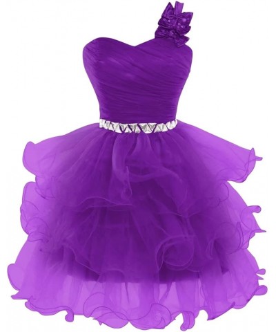 Short Prom Dresses for Women Beaded Homecoming Dresses Pageant Tiered Short Evening Ball Gown Puffy with Bow Purple $27.95 Dr...