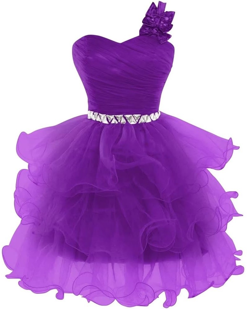 Short Prom Dresses for Women Beaded Homecoming Dresses Pageant Tiered Short Evening Ball Gown Puffy with Bow Purple $27.95 Dr...